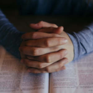 Profile photo of Alberto